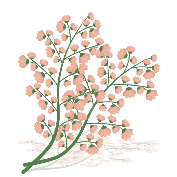 花的设计图片下载