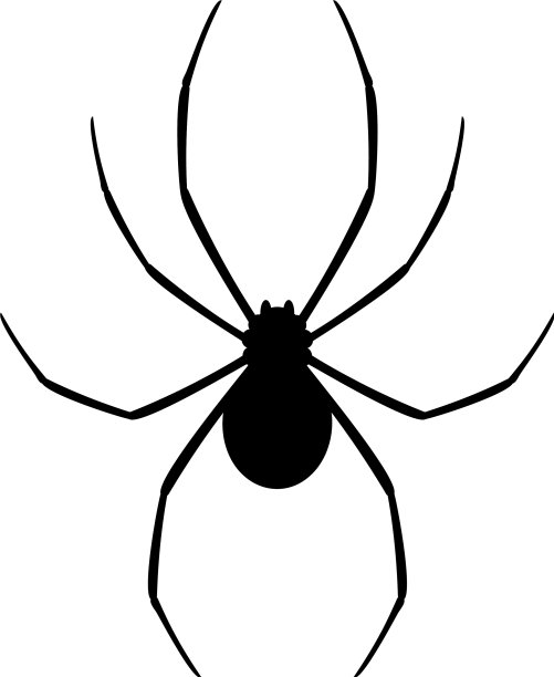 黑蜘蛛图片下载
