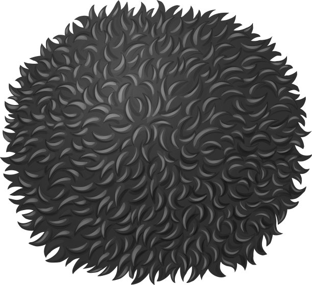 白色上的黑色毛绒球图片下载