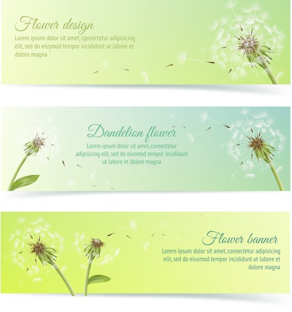 用蒲公英制作的横幅和丝带图片下载