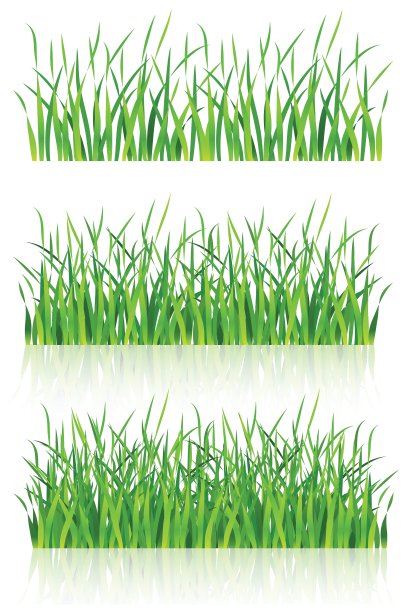 草插图图片下载