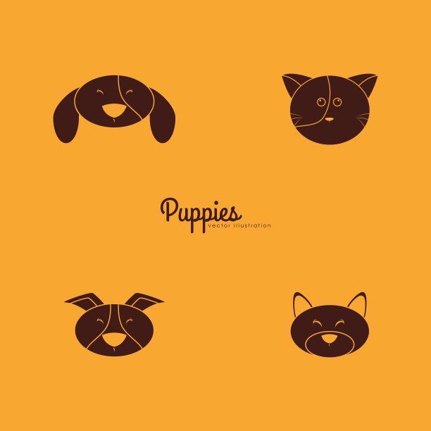 可爱的动物面孔图片下载