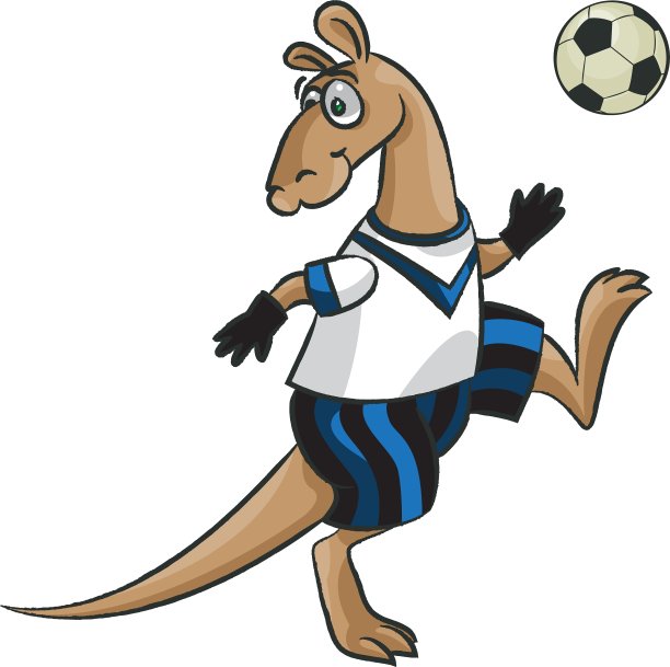 足球运动员的袋鼠图片下载