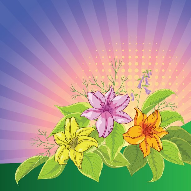花背景百合和太阳图片下载