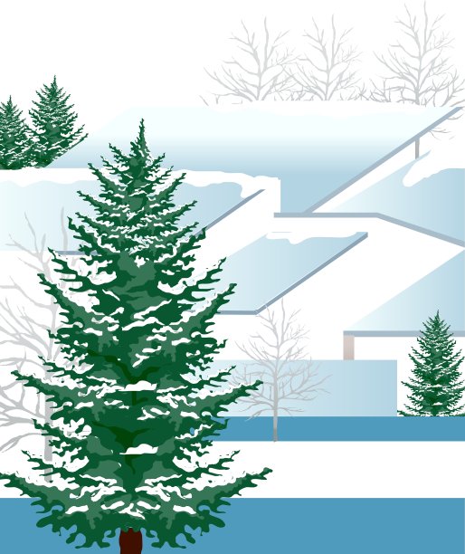 绿皮树图片下载