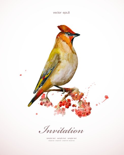 水彩画野鸟在大自然中图片下载