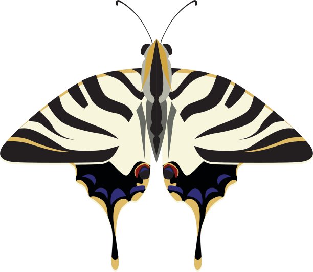 蝴蝶图标昆虫设计图形图片下载