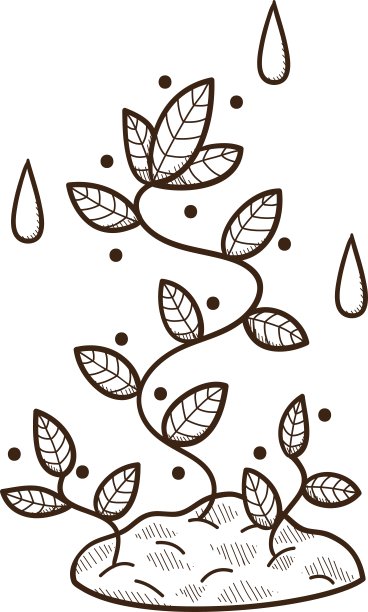 植物生长在地下图片下载