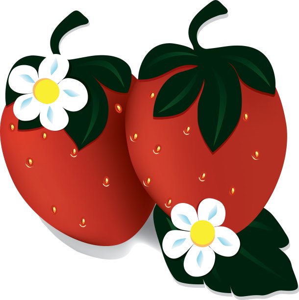 两个成熟的红草莓图片下载