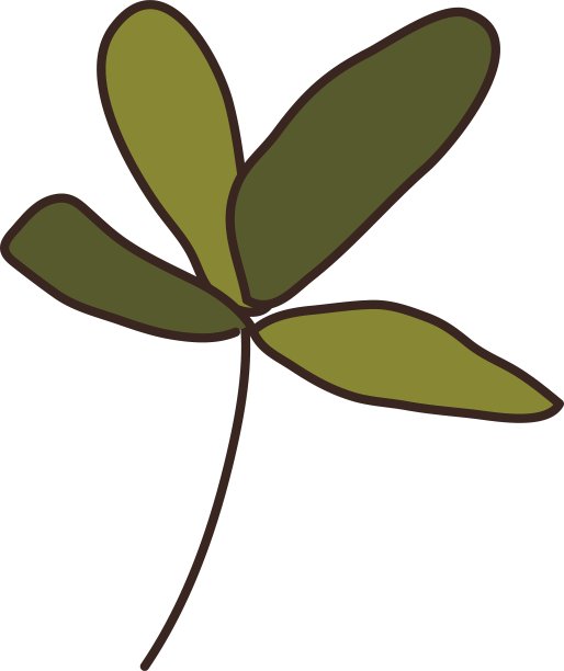 植物景观图片下载