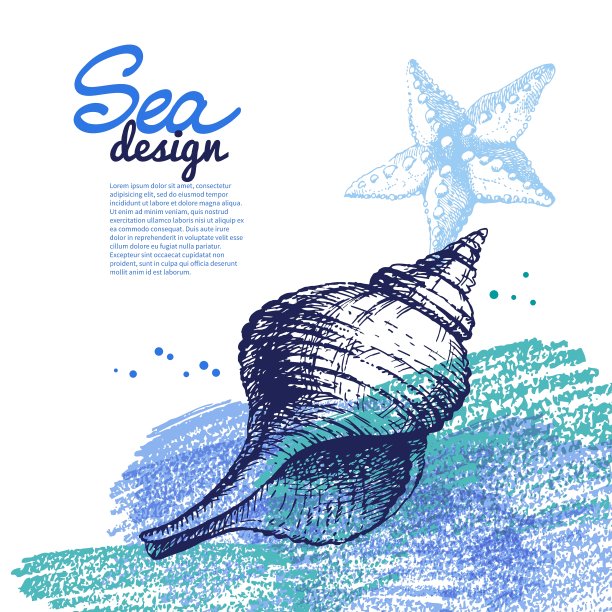 海贝背景海洋航海设计图片下载
