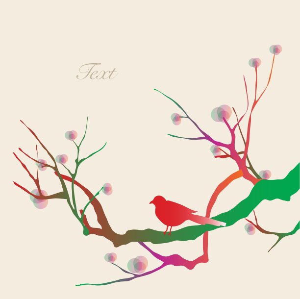 鸟的背景图片下载