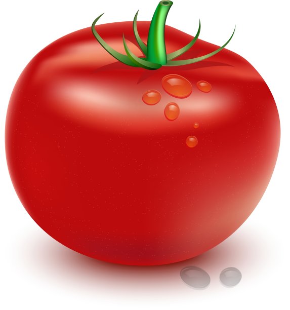 番茄图片下载