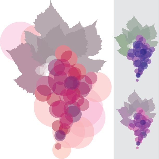 葡萄的背景图片下载