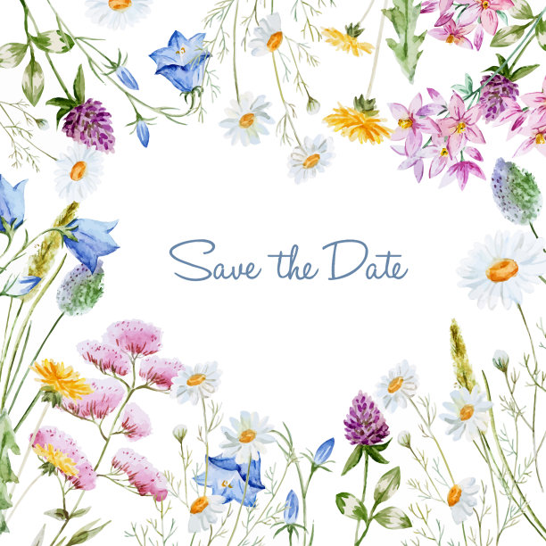 水彩花卉框架图片下载