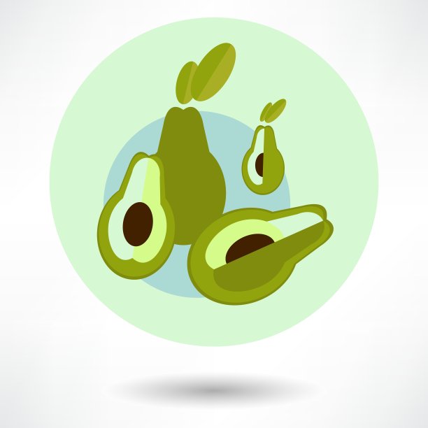 白色背景上的牛油果图片下载