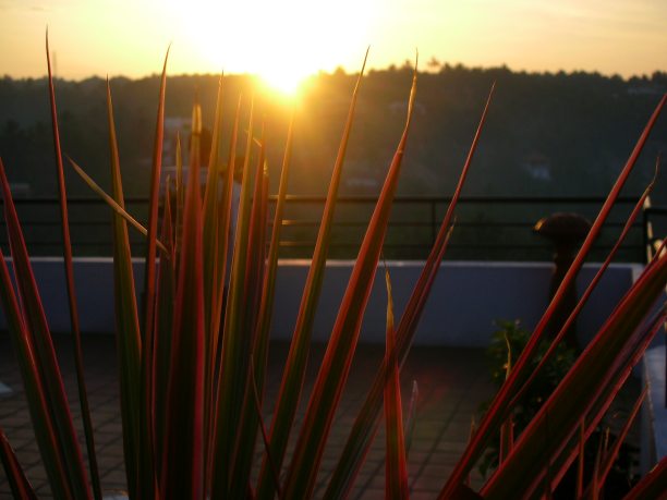 看一个视图图片下载