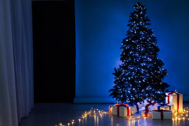 12、圣诞von灯花环圣诞树礼物新年冬天图片下载