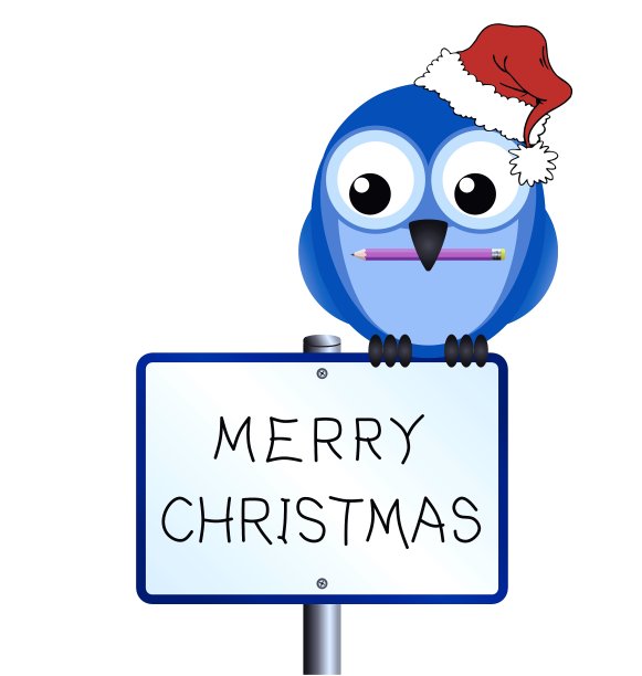 鸟圣诞快乐图片下载