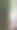 苔藓覆盖的树图片下载