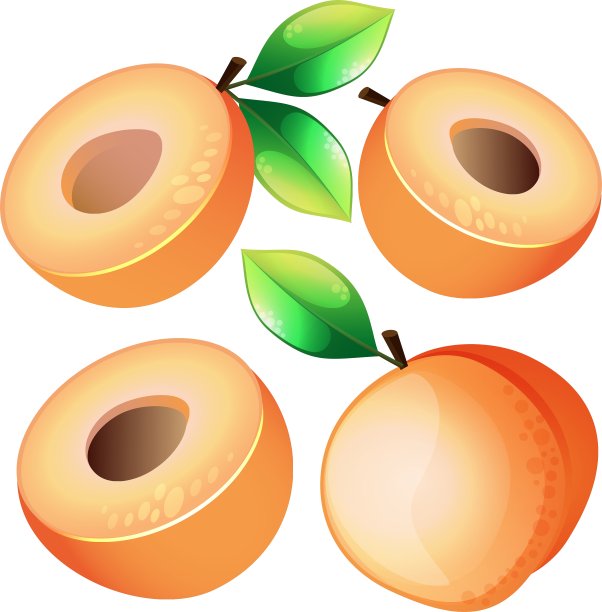 白底杏的构图图片下载