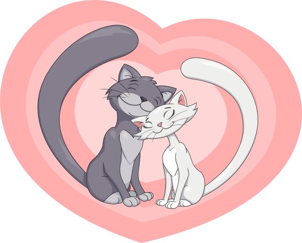 两只被迷住的猫图片下载