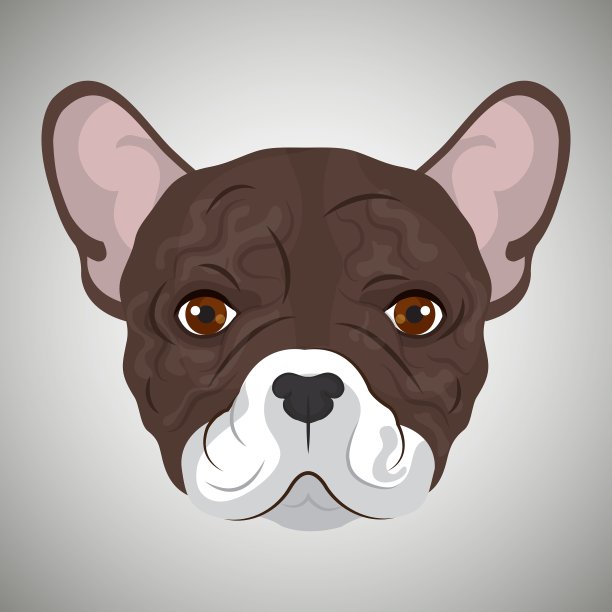 斗牛犬品种设计图片下载