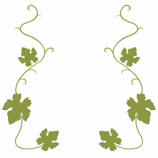 葡萄葡萄背景图片下载