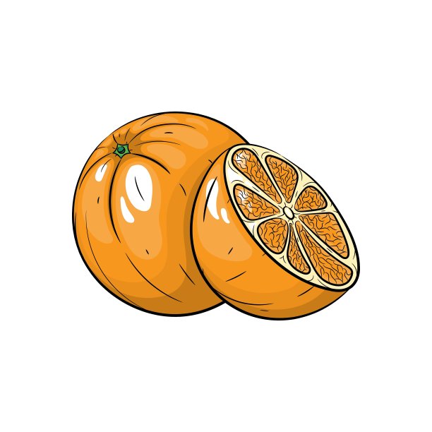 白色背景上的橙色素材图片