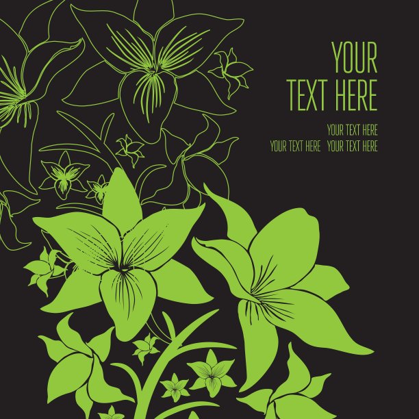 背面黑色5 06图片下载