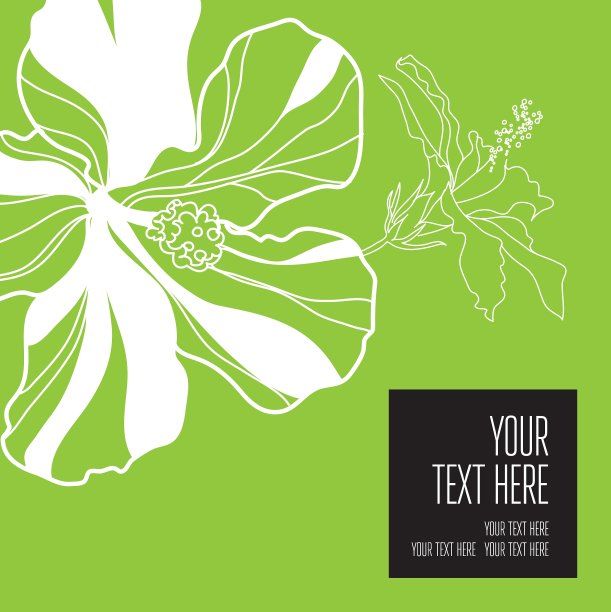 背面黑色5 16图片下载