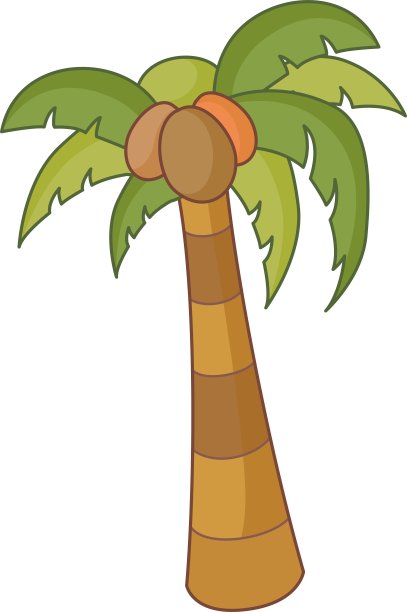 扇棕榈图片下载