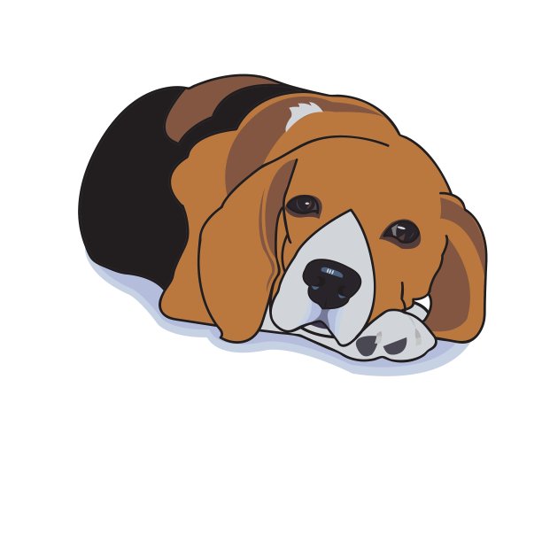 沉睡的小猎犬图片下载