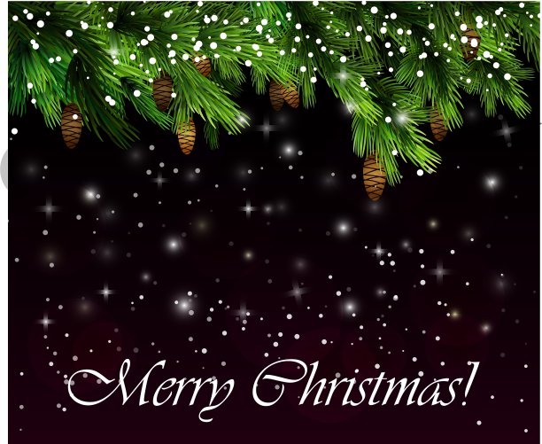 带球果的松枝图片下载