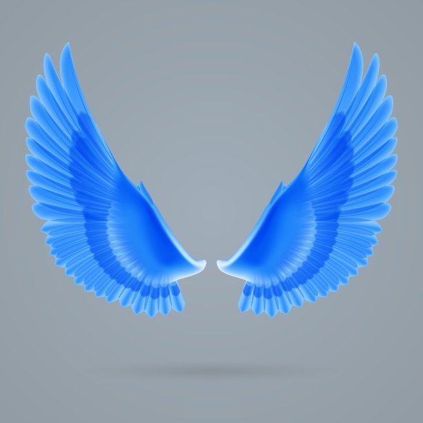 激励的翅膀图片下载