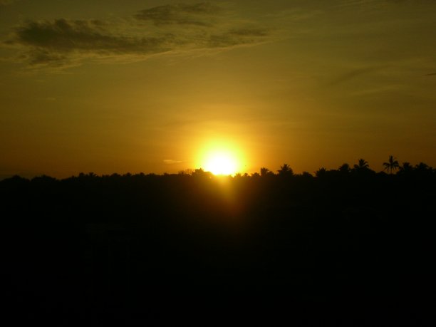 一个中图片下载