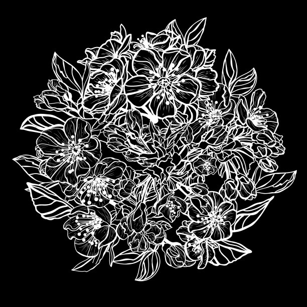 手绘花卉装饰图片下载