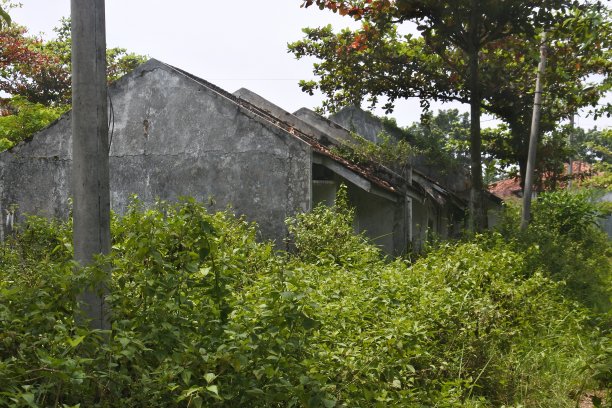 有灌木丛的空房子，适合用作恐怖场景或都市传奇故事图片下载