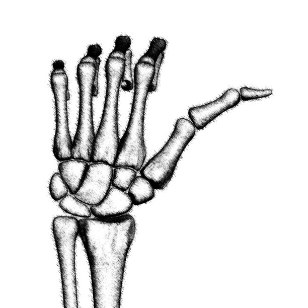 瘦骨嶙峋的手。插图。图片下载