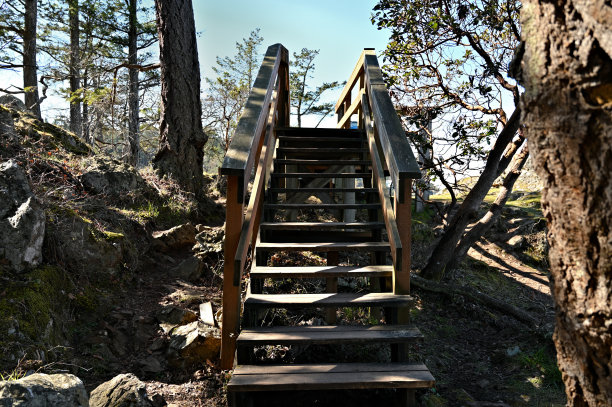极端地形中的木制楼梯图片下载