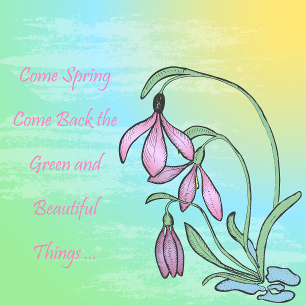 春天主题卡与雪莲和模仿水彩背景图片下载