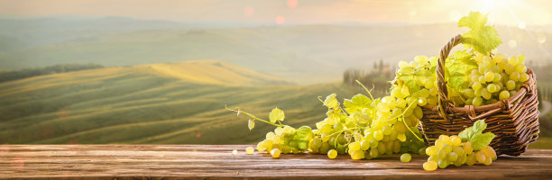 阳光谷的柳条篮子里的成熟葡萄图片下载