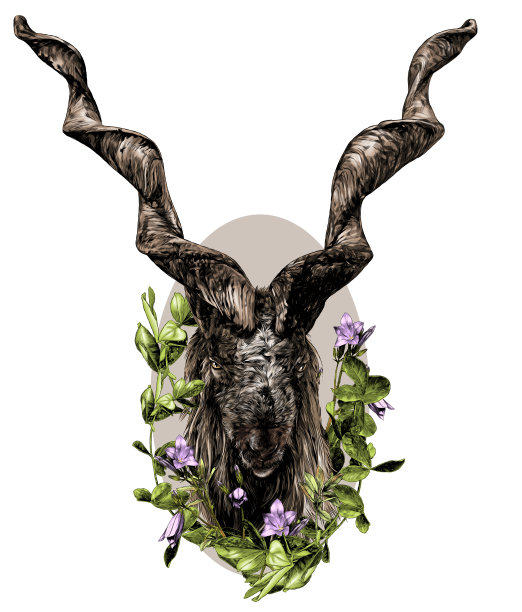 一只长着大螺旋角和浓密毛发的山羊头，看起来直而满脸，呈椭圆形，装饰有钟花和带叶子的草叶图片下载