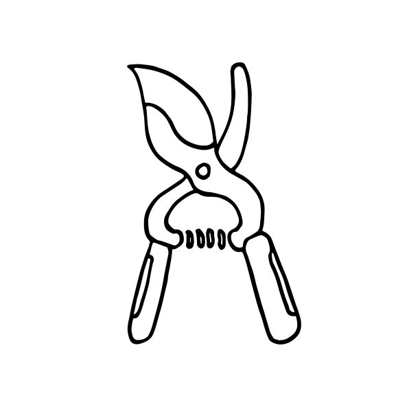 手工绘制的矢量涂鸦插图园艺工具secateur隔离在白色的背景。图片下载