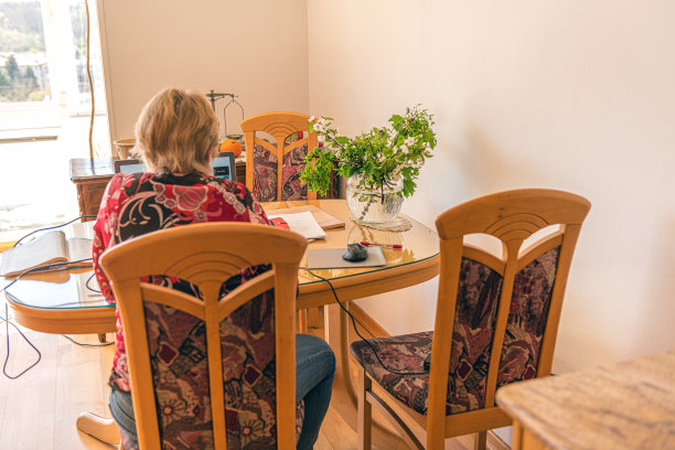 欧洲斯洛维尼亚Primorka，高级数学教师使用手提电脑及绘图板授课。图片下载