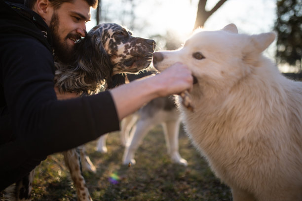 一个年轻人和狗狗玩耍的照片图片下载
