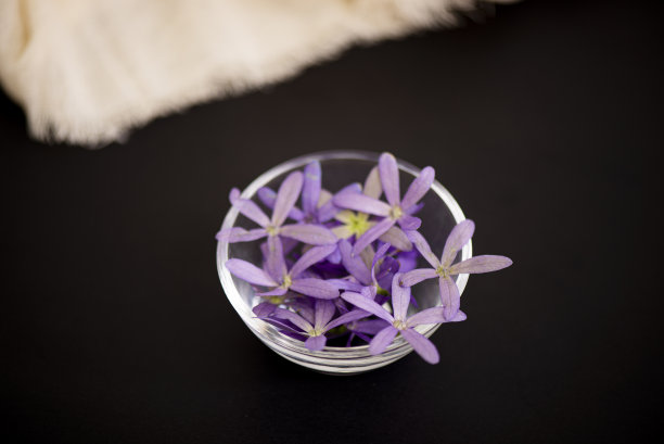 各种各样的玻璃容器，上面有紫色的花图片下载