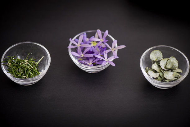 各种各样的玻璃容器，上面有紫色的花图片下载