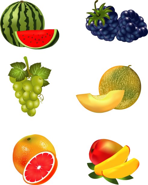 水果组图片下载