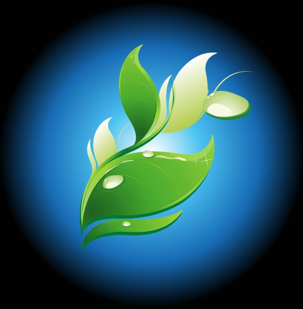 蓝色背景上的树叶和水滴图片下载